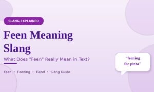 feen meaning