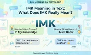 imk meaning