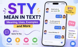 sty full form in chat