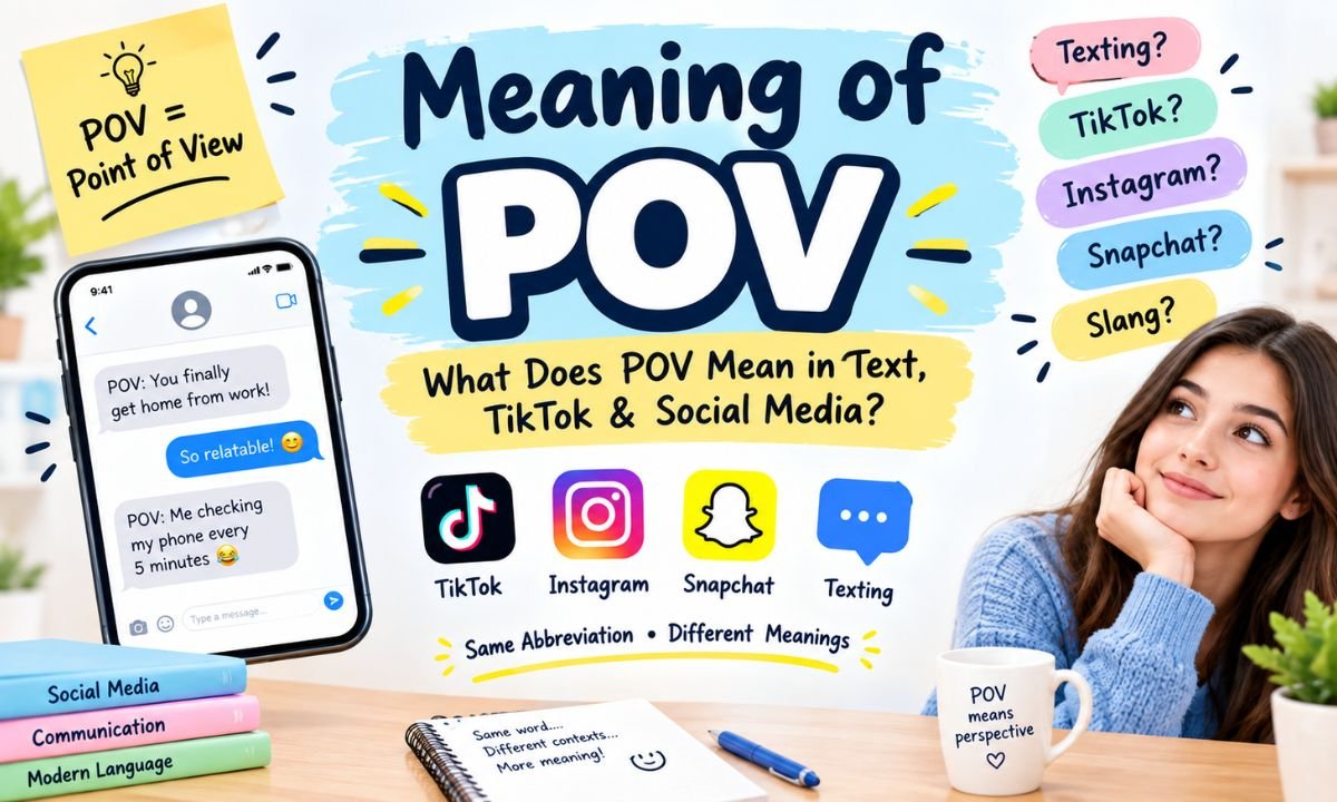 pov meaning