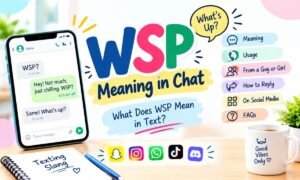 wsp full form in chat
