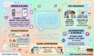 wys meaning in text